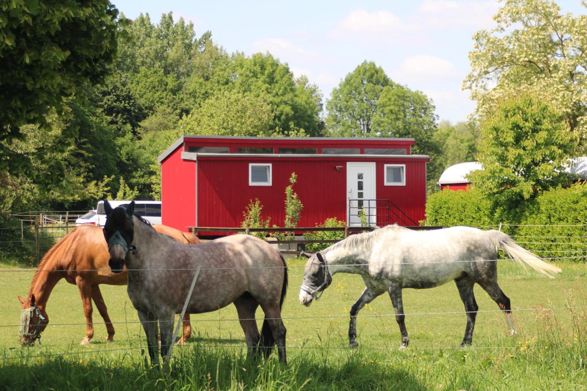 Schlafwagen Domblick Moerenhof Xanten Kültér fotó